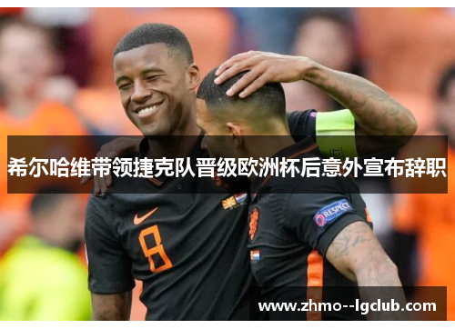 希尔哈维带领捷克队晋级欧洲杯后意外宣布辞职 希尔哈维带领捷克队晋级欧洲杯后意外宣布辞职